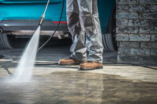 Best Roof Washing  in Somerville, TX