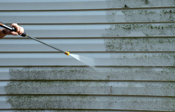 Best Dumpster Area Cleaning  in Somerville, TX