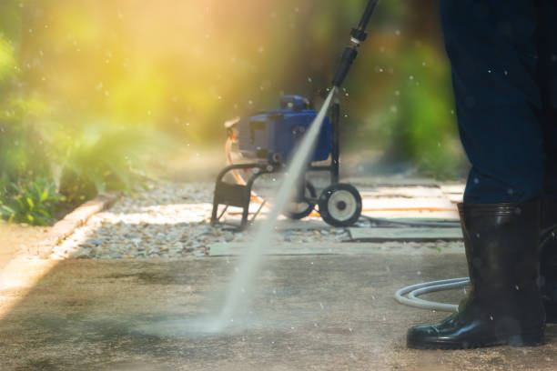 Best Soft Washing  in Somerville, TX